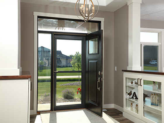 Storm Doors 3